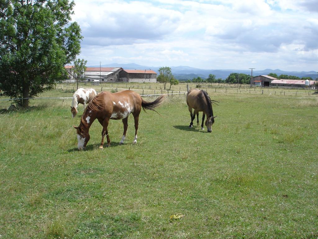 Au Bon Gre D'Hugoline Blanzac (Haute Loire) Exterior foto