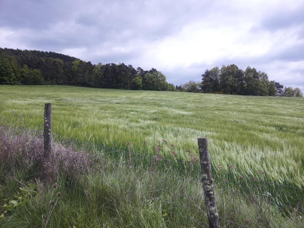 Au Bon Gre D'Hugoline Blanzac (Haute Loire) Exterior foto